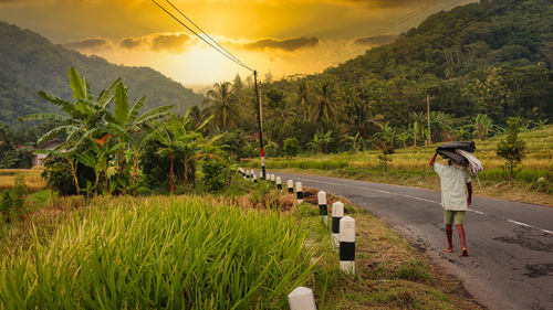 Mountain slopes, villages and hills among fertile rice fields on a tropical sunny day