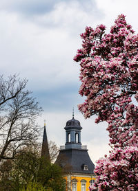 Low angle view of cherry blossoms against sky