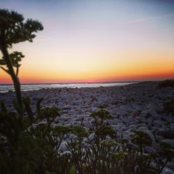 Scenic view of sea against sky during sunset