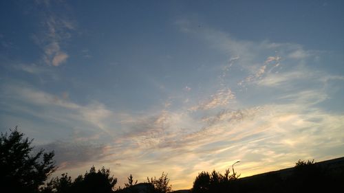 Low angle view of silhouette trees against sky