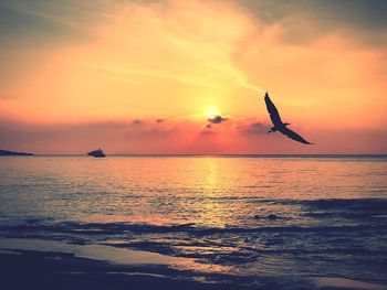 Silhouette bird flying over sea against orange sky