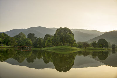 Reflection of trees in lake