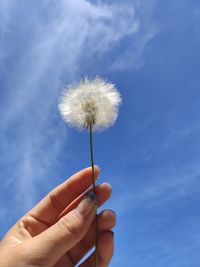 Close-up of hand holding dandelion against sky