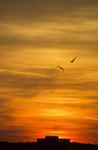 Silhouette bird flying against orange sky