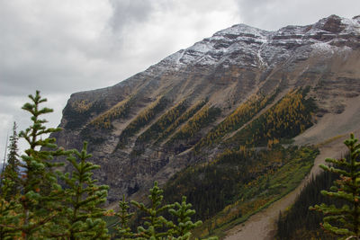Spectacular view of fairview mountain on a cloudy day with autumn fog, lake louise, canada.