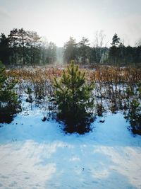 Scenic view of lake against sky during winter