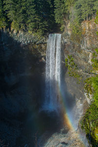 View of waterfall in forest