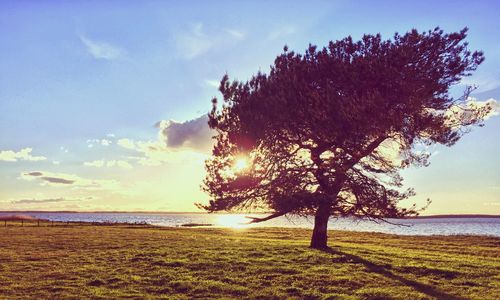 Scenic view of sea at sunset