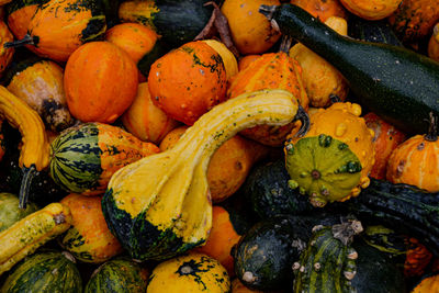 High angle view of pumpkins for sale at market stall