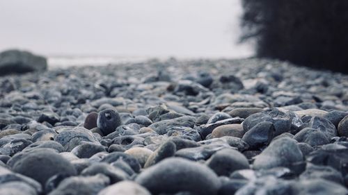 Close-up of stones on beach