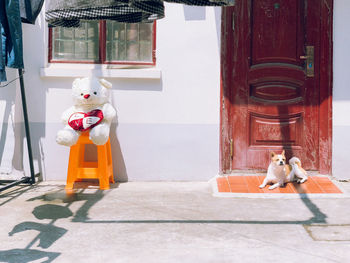 View of toys at entrance of building