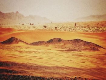 Scenic view of landscape