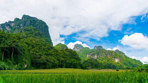 Scenic view of landscape against sky