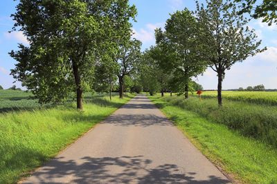 Road amidst trees on field against sky
