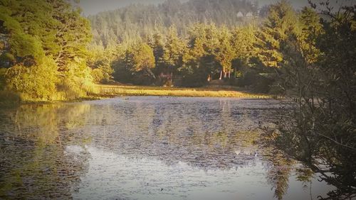 Scenic shot of calm countryside lake