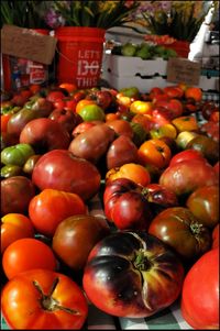 Full frame shot of tomatoes