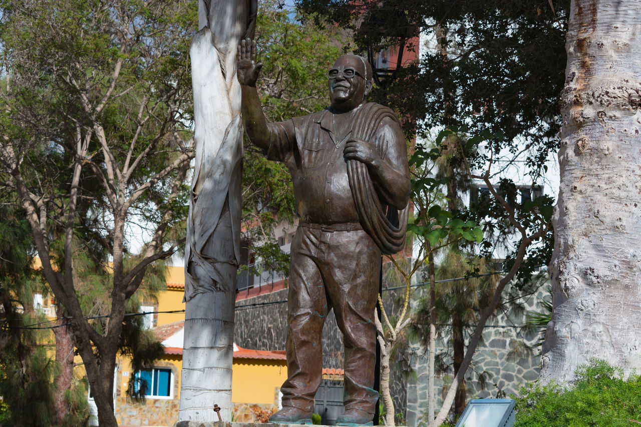 LOW ANGLE VIEW OF STATUE BY TREES AND BUILDING