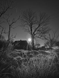 Silhouette of bare trees on field against sky at night