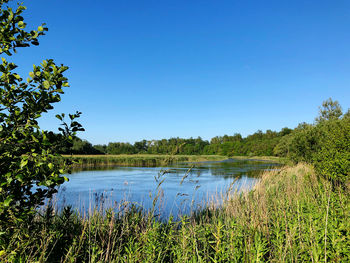 Scenic view of lake against clear blue sky