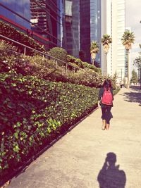 Rear view of woman walking on sidewalk by plants