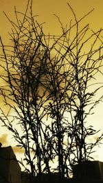 Low angle view of bare trees against sky at sunset