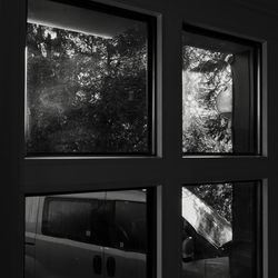 Reflection of trees on glass window