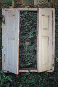 Closed door of old building