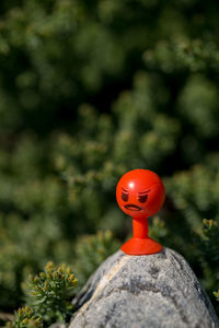 Close-up of red ball on tree