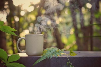 Close-up of coffee cup on potted plant