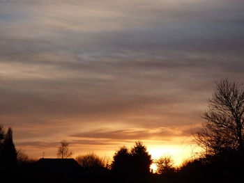 Silhouette trees against sky at sunset