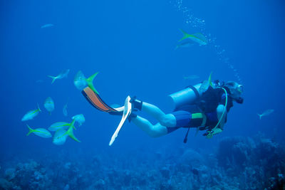 Man scuba diving undersea