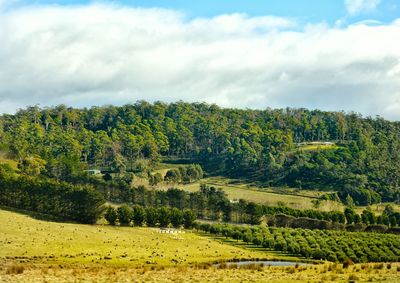 Scenic view of landscape against cloudy sky