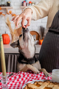 Midsection of man with dog