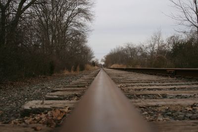 Surface level of railroad track along bare trees