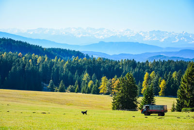 Scenic view of field against mountains