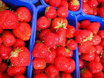 Full frame shot of strawberries in containers for sale at market stall