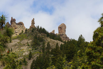 Low angle view of rocks and trees against sky