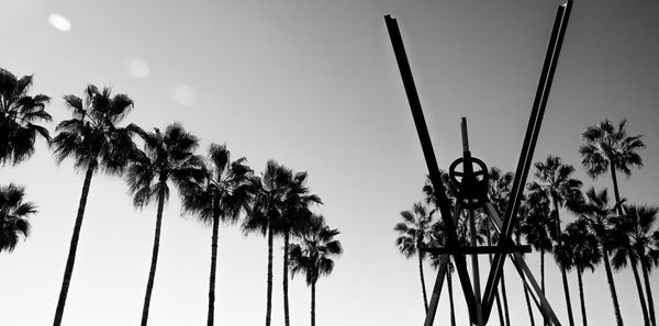 Low angle view of palm trees against clear sky