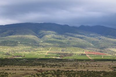 Scenic view of agricultural field against sky