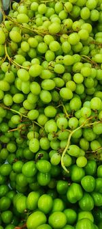 Green grapes 