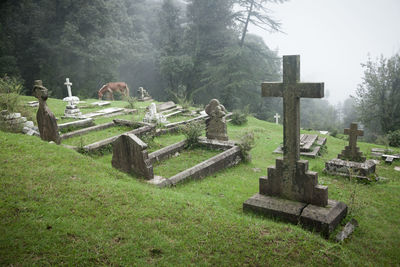 View of cemetery against trees