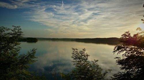 Reflection of trees in water