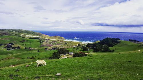 Scenic view of green landscape by sea against sky