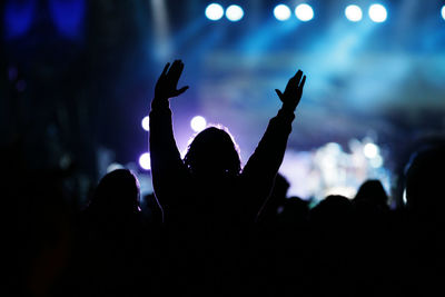 Crowd at music concert