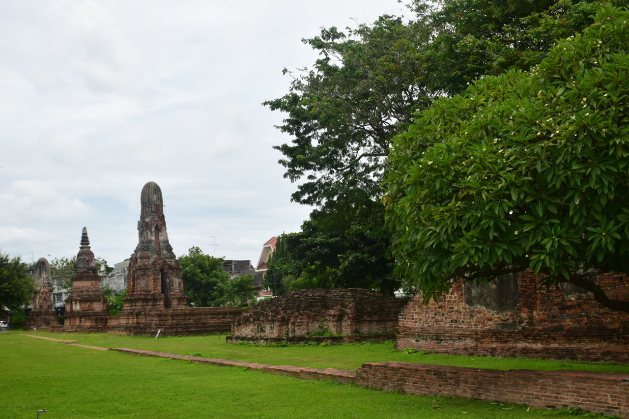 plant, built structure, architecture, the past, tree, history, religion, grass, place of worship, nature, travel destinations, building exterior, spirituality, belief, day, sky, ancient, green color, growth, no people, ancient civilization, outdoors