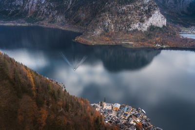 Scenic view of lake in forest