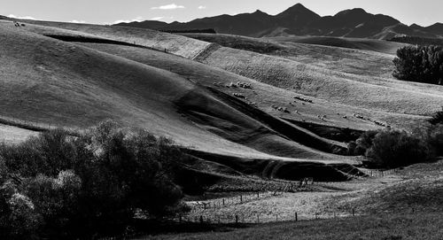 Landscape with mountain range in background