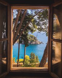 Trees by swimming pool seen through window