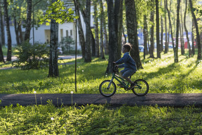 Man riding bicycle on street