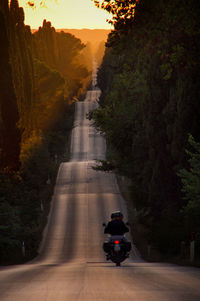 Man on road amidst trees against sky